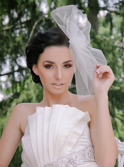 Aubrey Tulle "Hat" Cage Veil