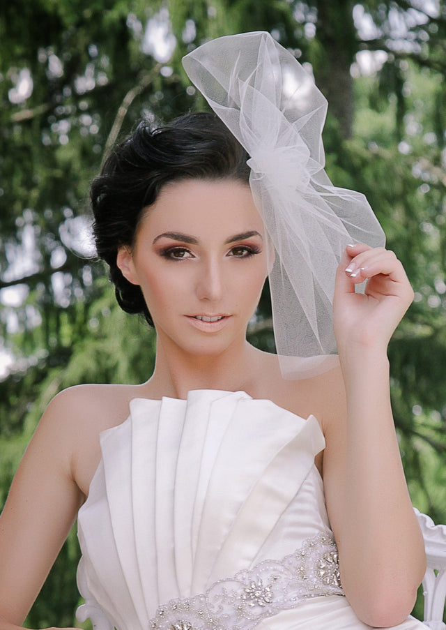 Aubrey Tulle "Hat" Cage Veil
