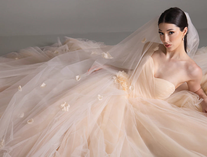 Lazaro Wedding Dresses in Minnesota | Exclusive at Ellie Belle Lazaro Wedding Dresses in Minnesota | Exclusive at Ellie Belle