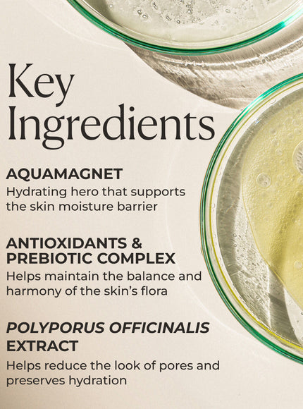 Natura Bisse Diamond Cocoon Hydrating Essence ingredients