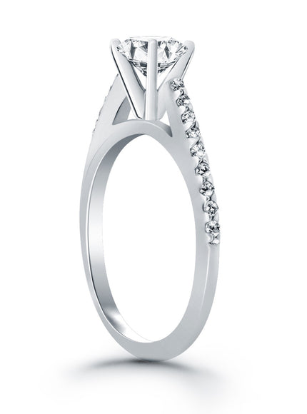 14k White Gold Micro Prong Diamond Cathedral Engagement Ring