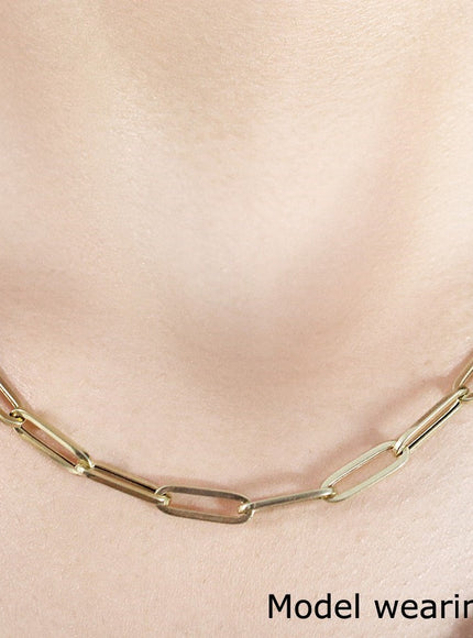 10K Yellow Gold Lite Paperclip Chain (4.2mm)