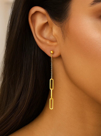 14K Yellow Gold Paperclip Chain and Fine Link Earrings
