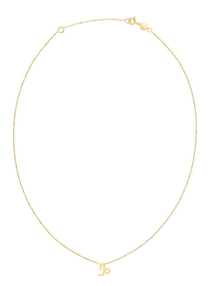 14K Yellow Gold Capricorn Necklace
