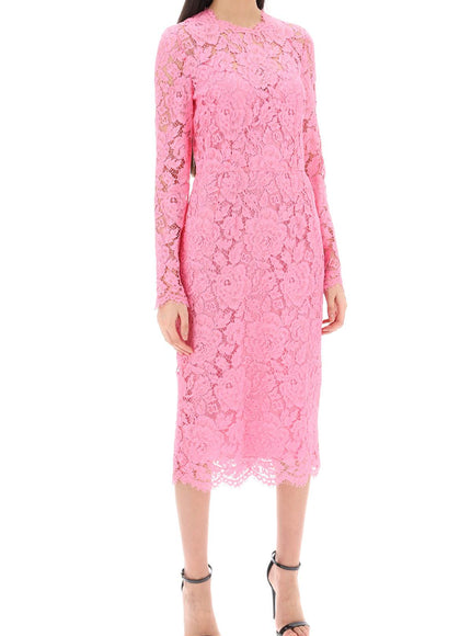 Dolce & Gabbana midi dress in floral cordonnet lace