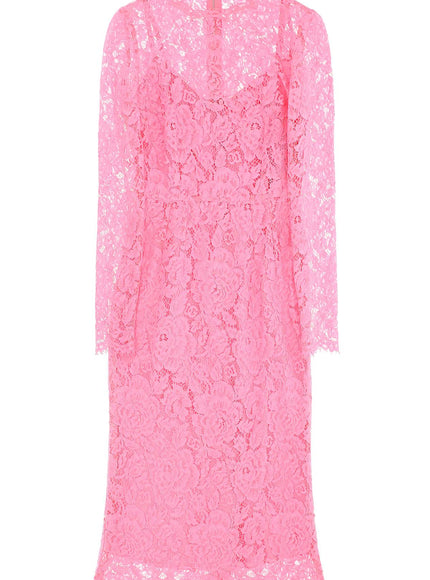 Dolce & Gabbana midi dress in floral cordonnet lace