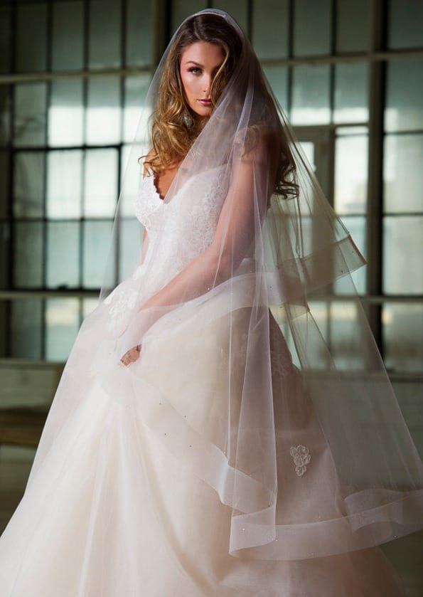 Fantasy Two-Tier Waltz Wide Horsehair Veil