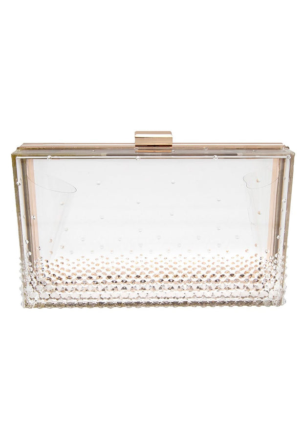 Ariel Taub Gwen Lucite Crystal Clutch