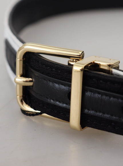 a black and white belt with a gold buckle