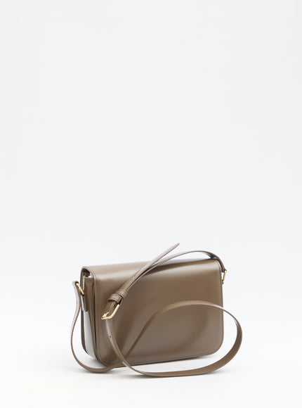 Celine Triomphe Classique Bag In Brown Leather