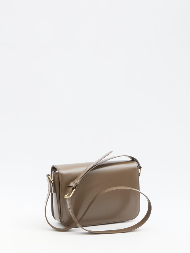 Celine Triomphe Classique Bag In Brown Leather