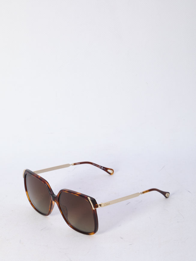 Chloe Aly Sunglasses