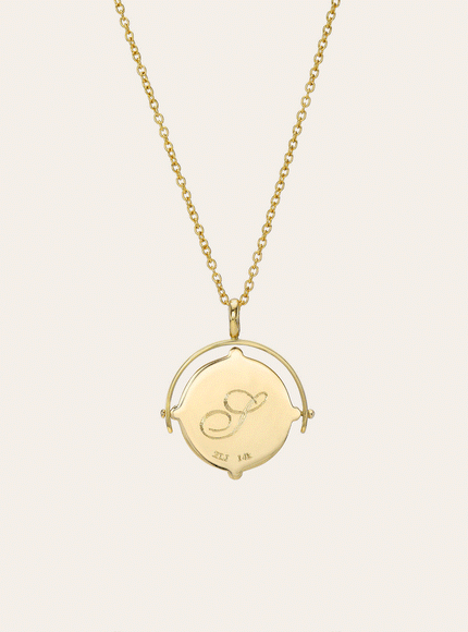 Zoe Lev Spinner Compass Medallion Necklace