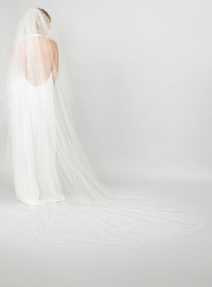 Ariel Taub Twinkle Cathedral Veil with Pearls & Crystals