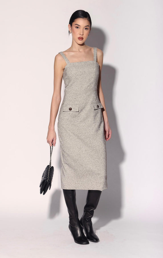 Walter Baker Julia Dress Ivory Brown