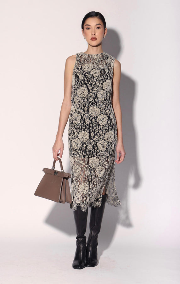 Walter Baker Deana Dress Ivory Black Lace