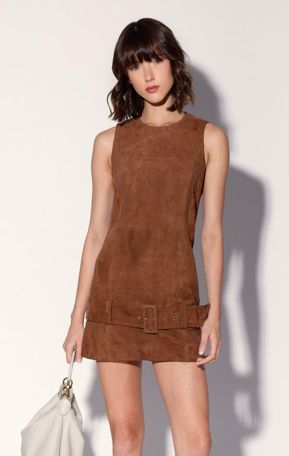 Walter Baker Vanna Dress Chestnut Suede Leather