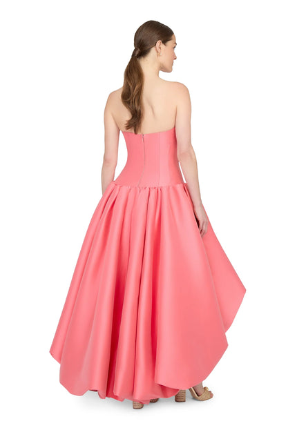 Anne Barge Consuelo Strapless Drop Waist Evening Gown