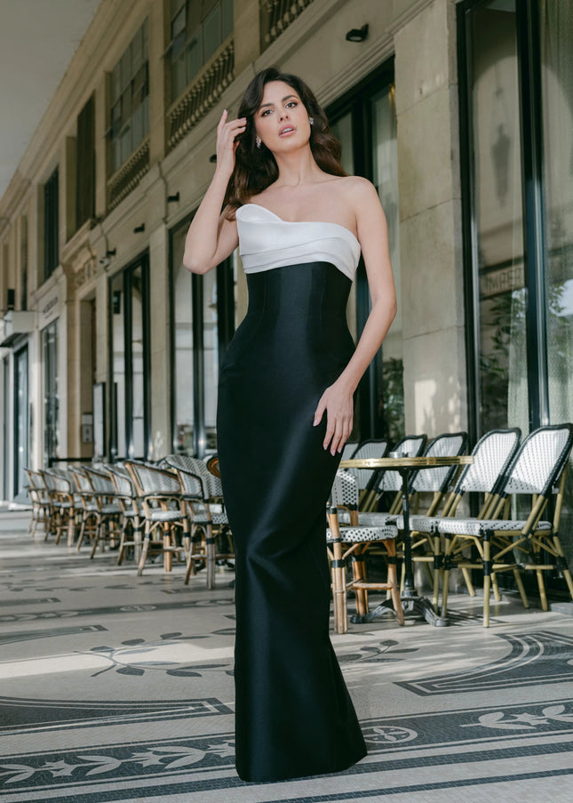 Anne Barge Black Label Coco Column Gown