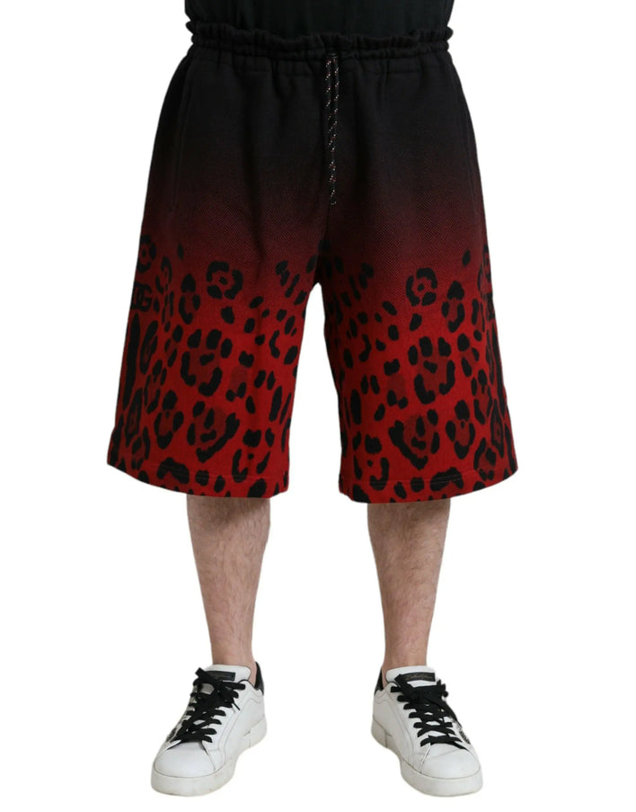 Dolce & Gabbana Gradient Leopard-Print Shorts
