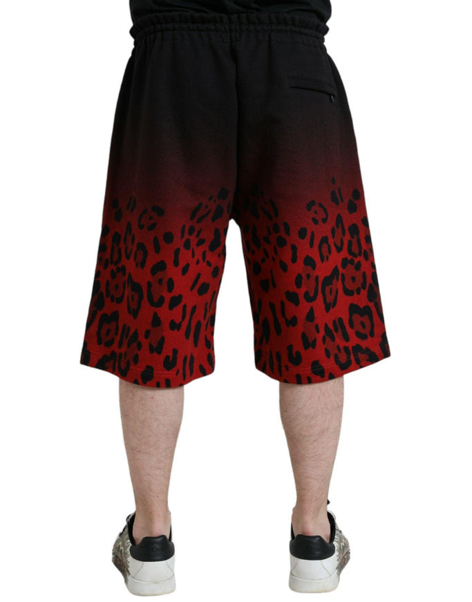 Dolce & Gabbana Gradient Leopard-Print Shorts - Ellie Belle