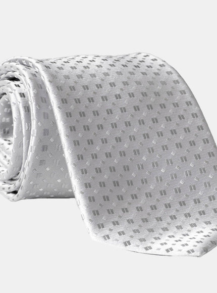 Elizabetta Barbera Silk Jacquard Tie in Silver