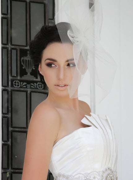 Aubrey Tulle "Hat" Cage Veil