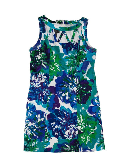 Adrianna Papell Cut-Out Dress