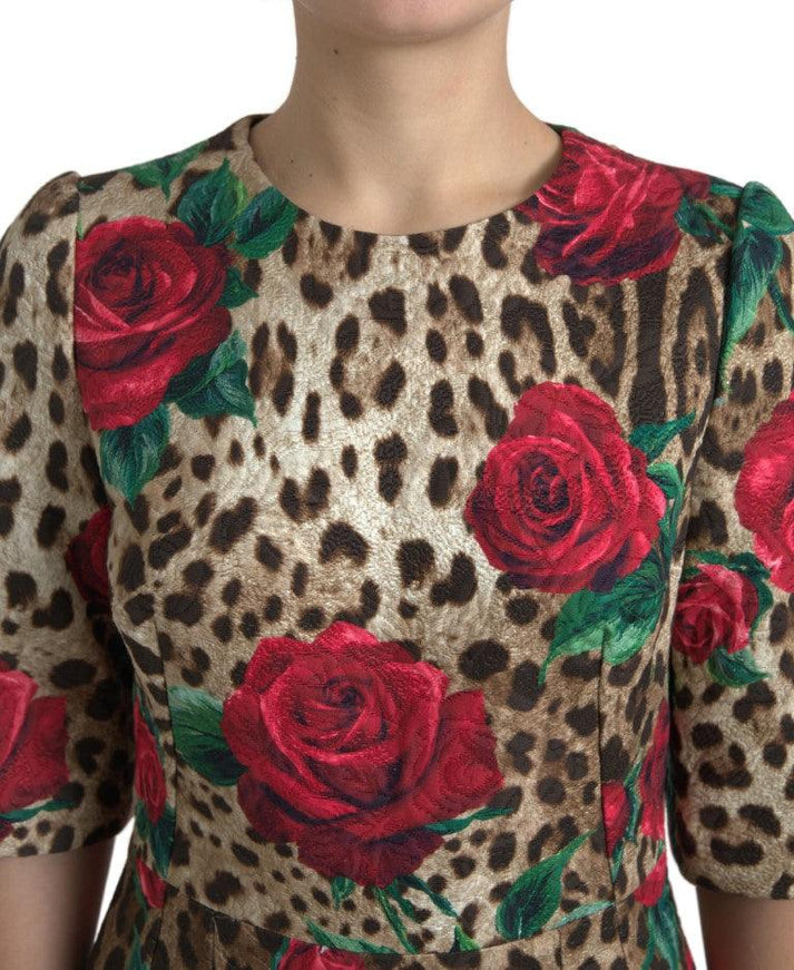 Dolce & Gabbana Brown Leopard Red Roses Cotton A-line Dress - Ellie Belle