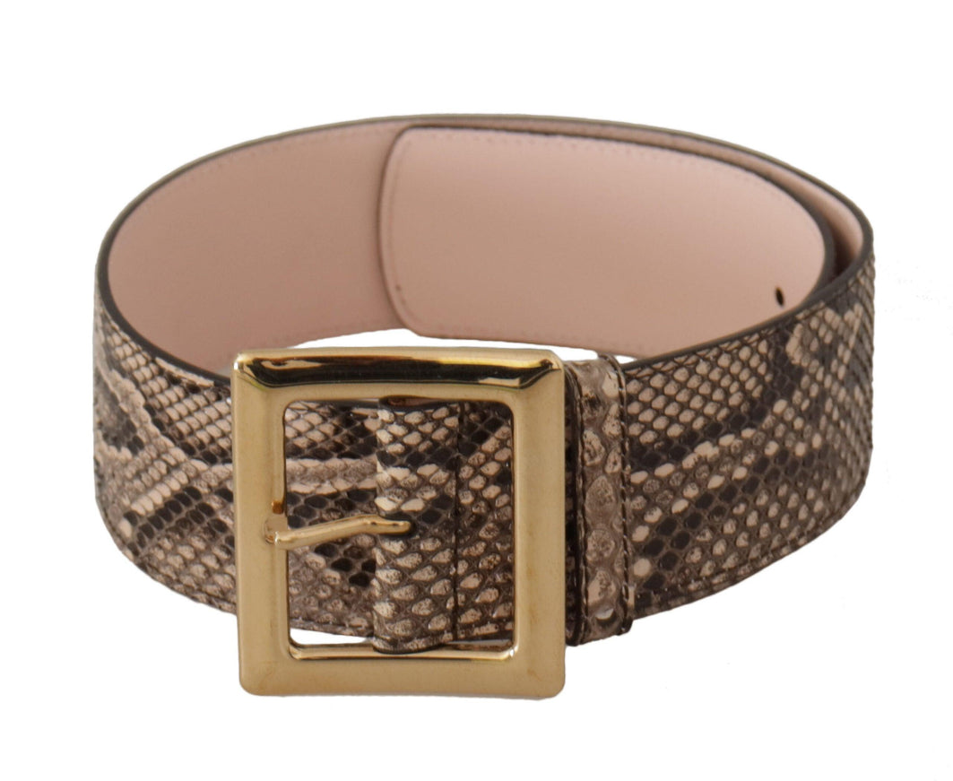 Dolce & Gabbana Beige Exotic Leather Wide Gold Metal Buckle Belt - Ellie Belle