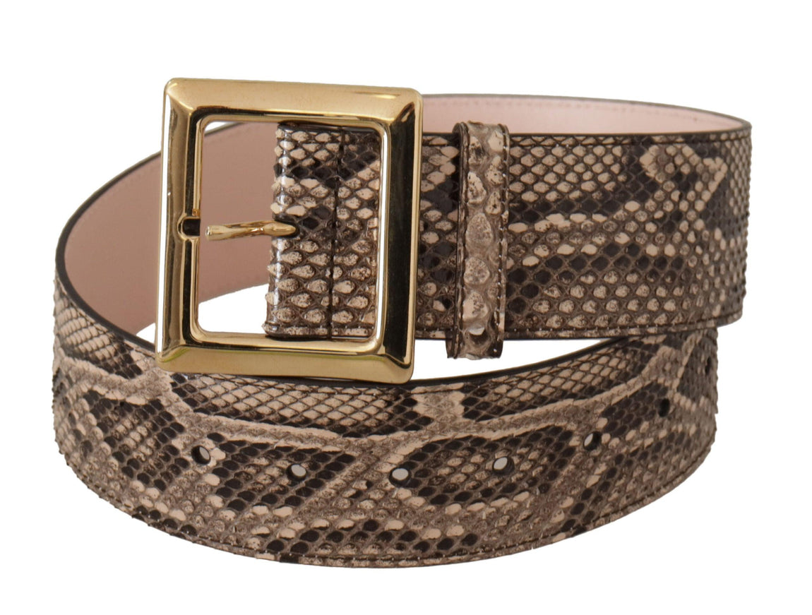 Dolce & Gabbana Beige Exotic Leather Wide Gold Metal Buckle Belt - Ellie Belle