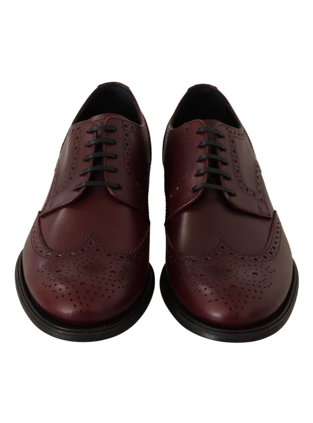 Dolce & Gabbana Bordeaux Leather Oxford Wingtip Formal Shoes - Ellie Belle