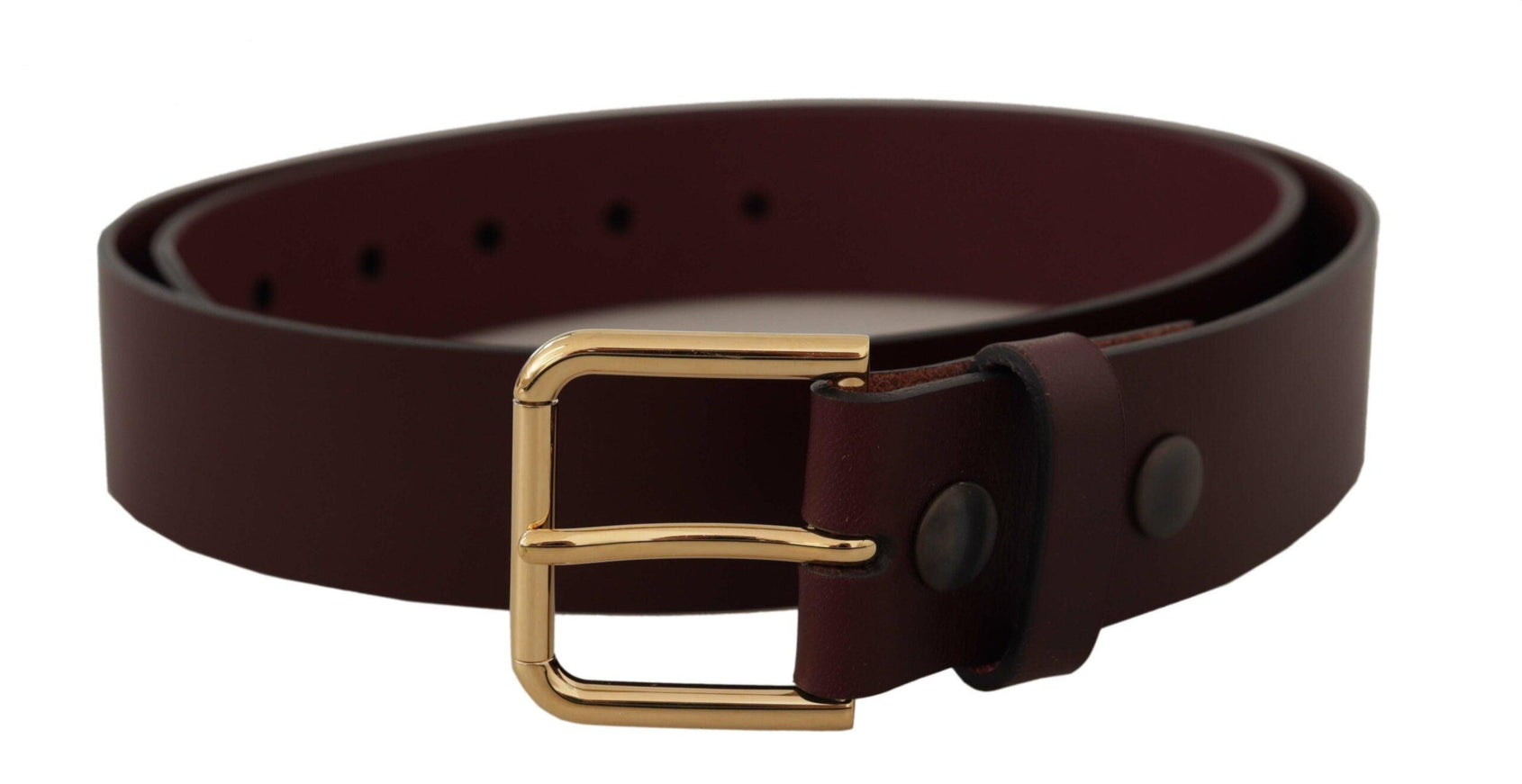 Dolce & Gabbana Brown Calf Leather Gold Tone Metal Buckle Belt - Ellie Belle