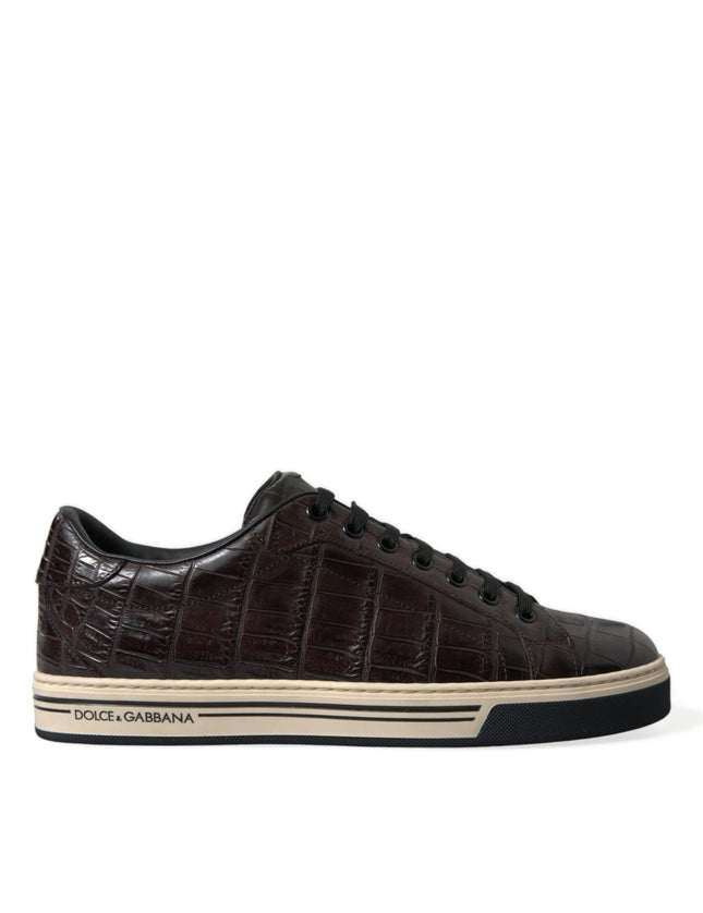 Dolce & Gabbana Brown Croc Exotic Leather Men Casual Sneakers Shoes - Ellie Belle