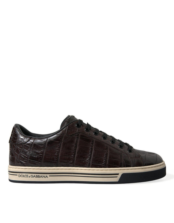 Dolce & Gabbana Brown Croc Exotic Leather Men Casual Sneakers Shoes - Ellie Belle