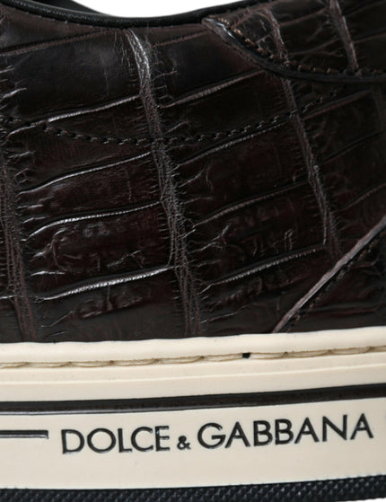 Dolce & Gabbana Brown Croc Exotic Leather Men Casual Sneakers Shoes - Ellie Belle