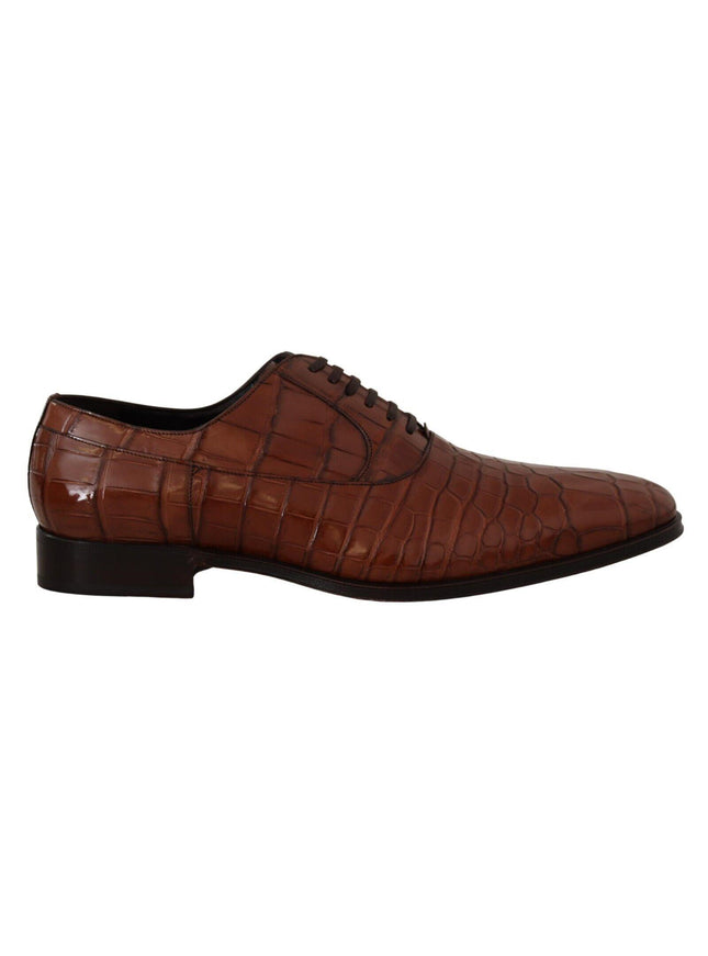 Dolce & Gabbana Brown Crocodile Leather Mens Formal Derby Shoes - Ellie Belle