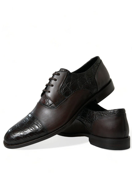 Dolce & Gabbana Brown Exotic Leather Formal Men Dress Shoes - Ellie Belle