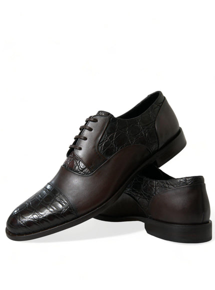Dolce & Gabbana Brown Exotic Leather Formal Men Dress Shoes