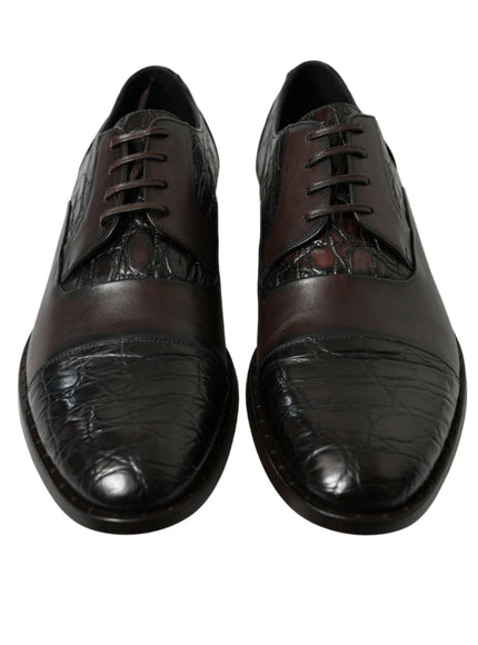 Dolce & Gabbana Brown Exotic Leather Formal Men Dress Shoes