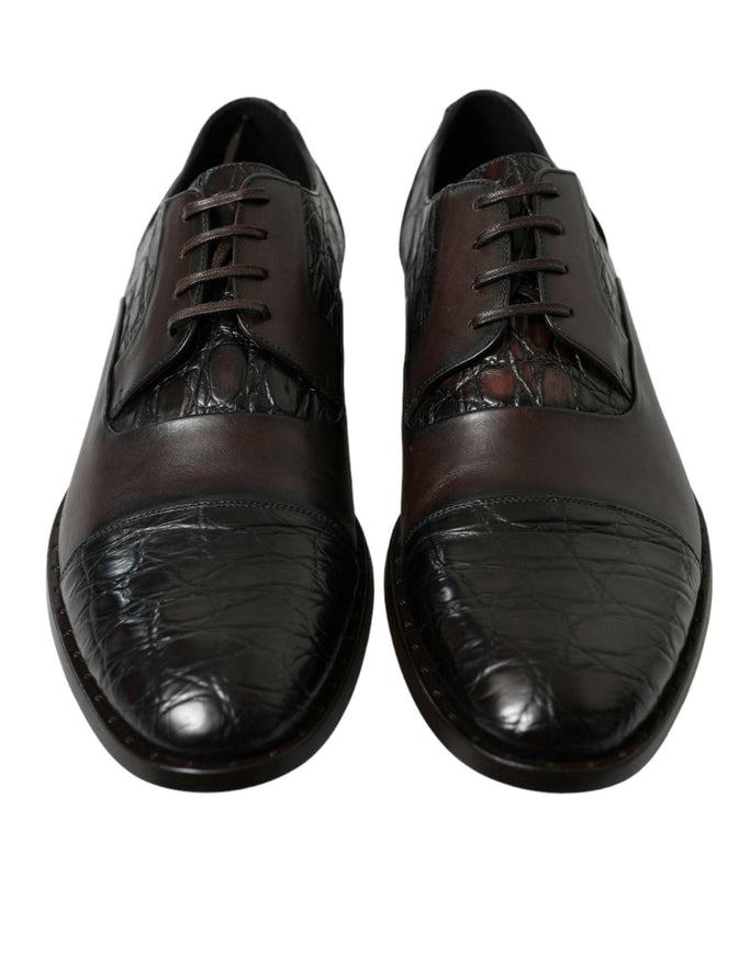 Dolce & Gabbana Brown Exotic Leather Formal Men Dress Shoes - Ellie Belle