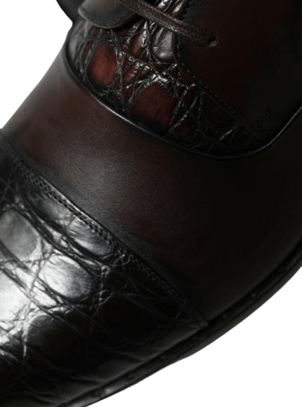 Dolce & Gabbana Brown Exotic Leather Formal Men Dress Shoes - Ellie Belle