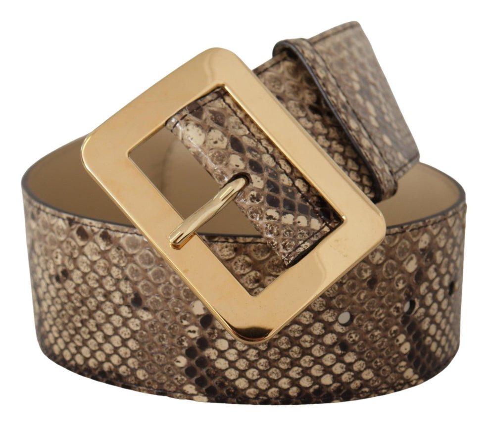 Dolce & Gabbana Brown Exotic Wide Waist Leather Gold Metal Buckle Belt - Ellie Belle