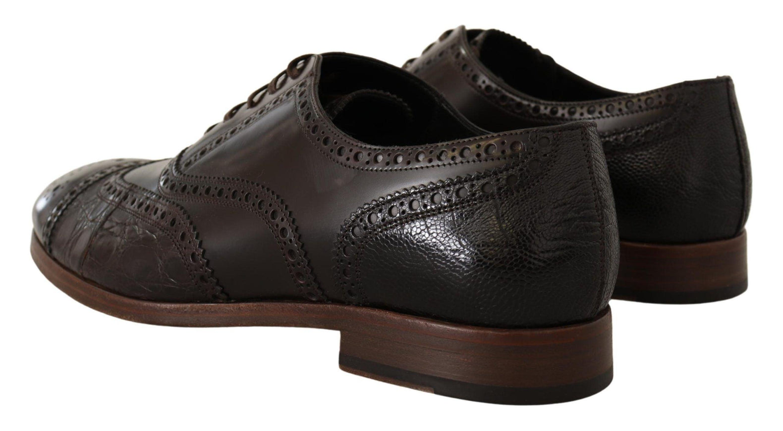 Dolce & Gabbana Brown Leather Brogue Wing Tip Dress Shoes - Ellie Belle