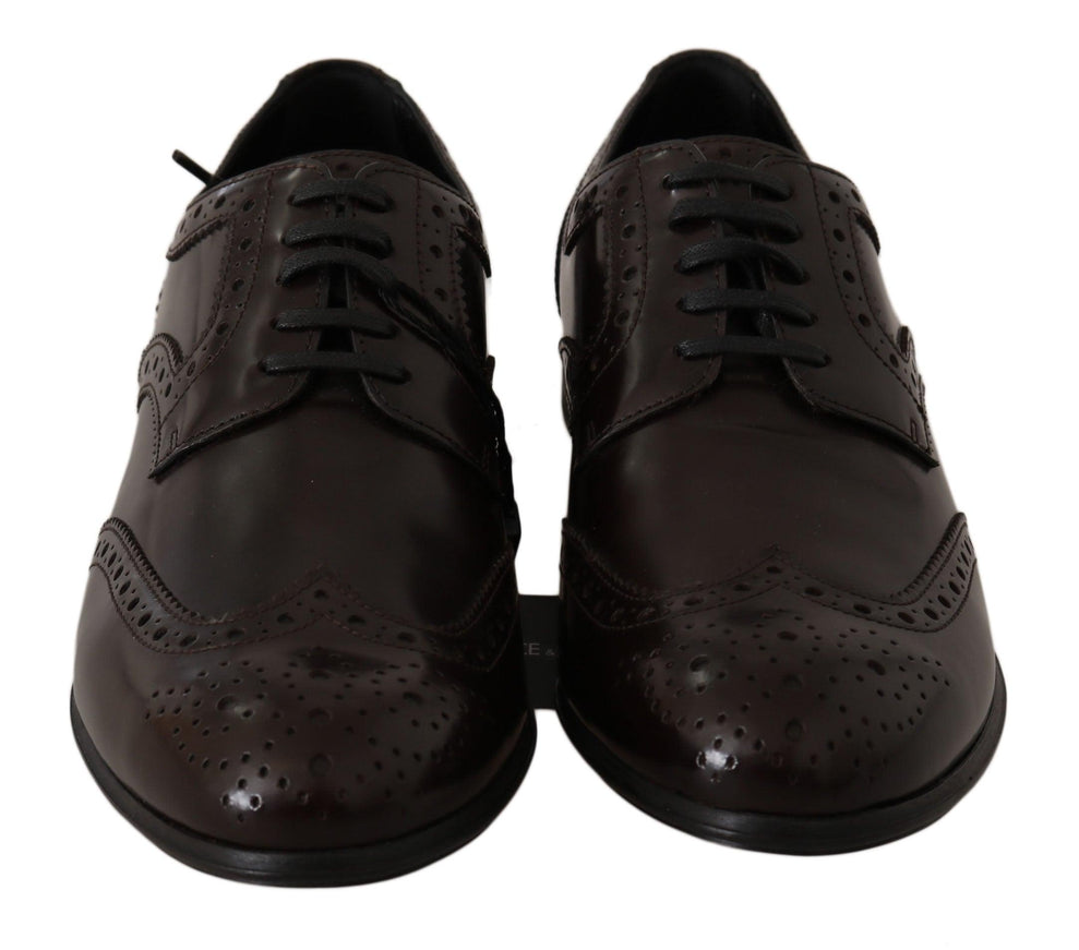 Dolce & Gabbana Brown Leather Broques Oxford Wingtip Shoes - Ellie Belle