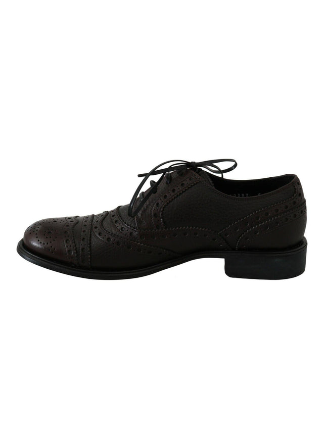 Dolce & Gabbana Brown Leather Wingtip Derby Formal Shoes - Ellie Belle