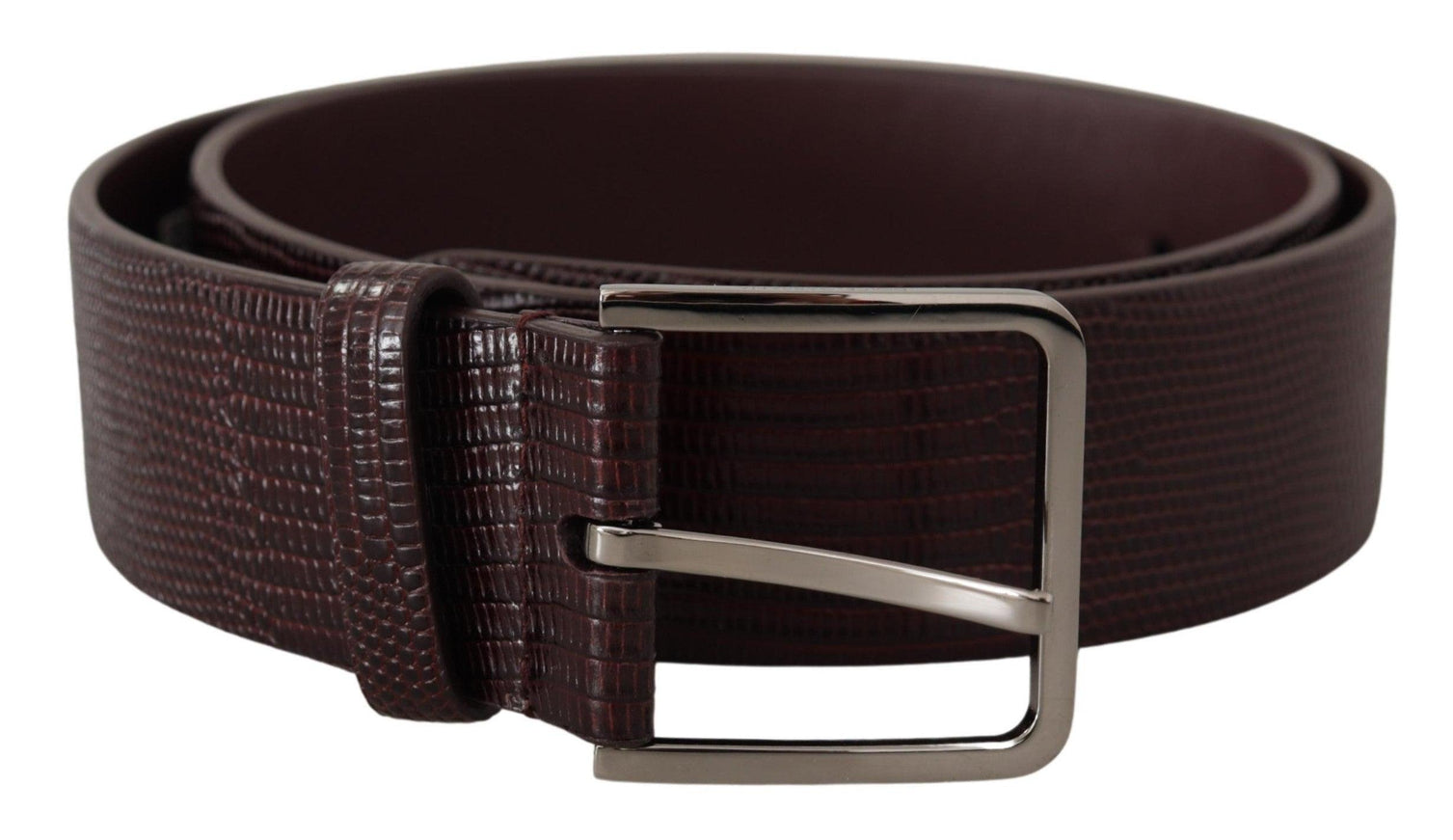 Dolce & Gabbana Dark Brown Calf Leather Silver Logo Metal Buckle Belt - Ellie Belle