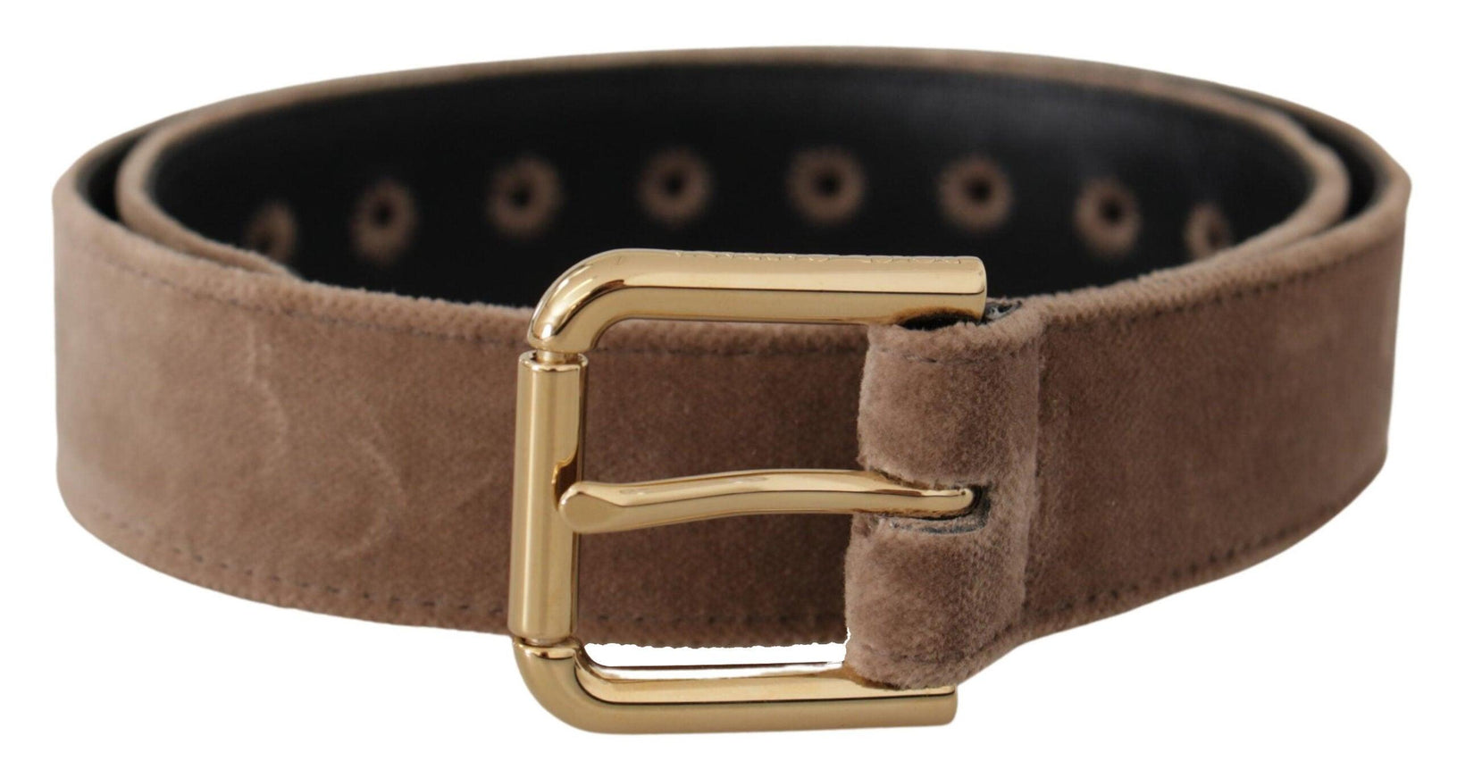 Dolce & Gabbana Light Brown Velvet Gold Tone Logo Metal Buckle Belt - Ellie Belle