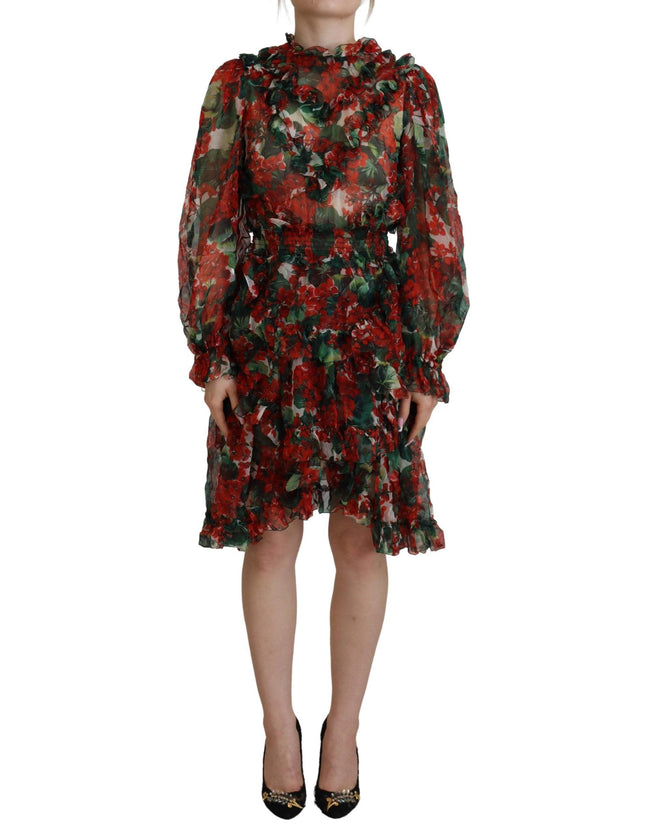 Dolce & Gabbana Multicolor Geranium A-line Knee Length Dress - Ellie Belle