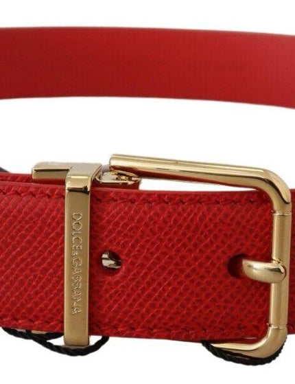 Dolce & Gabbana Red Solid Leather Gold Metal Buckle Belt - Ellie Belle